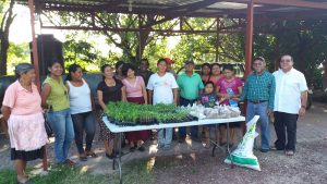 veggie-project