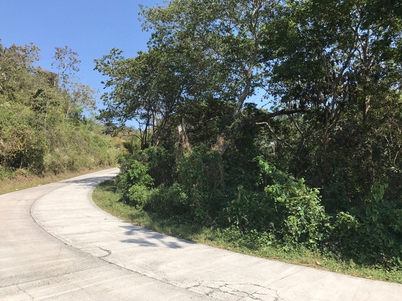 New Foundation Property