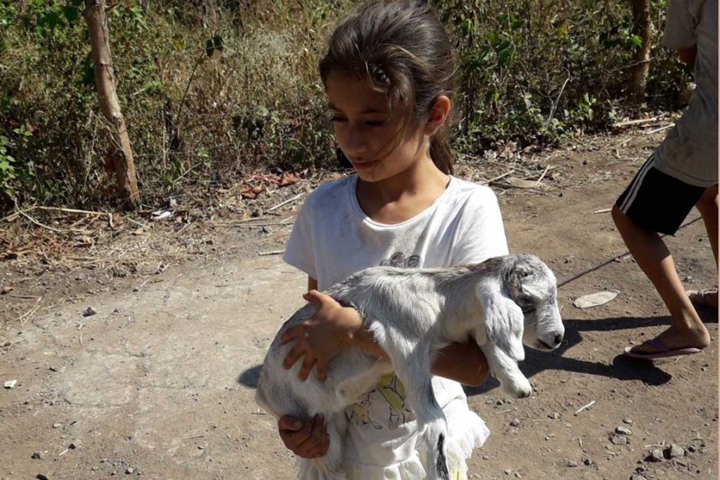 Apopa child with baby goat